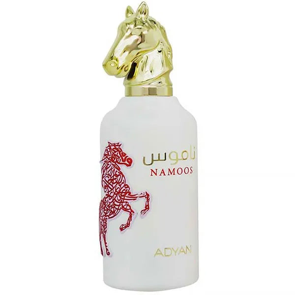 Perfume Masculino ADYAN Namoos EDP 100 ml