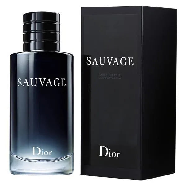 Perfume Masculino Christian Dior Sauvage EDT 100 ml
